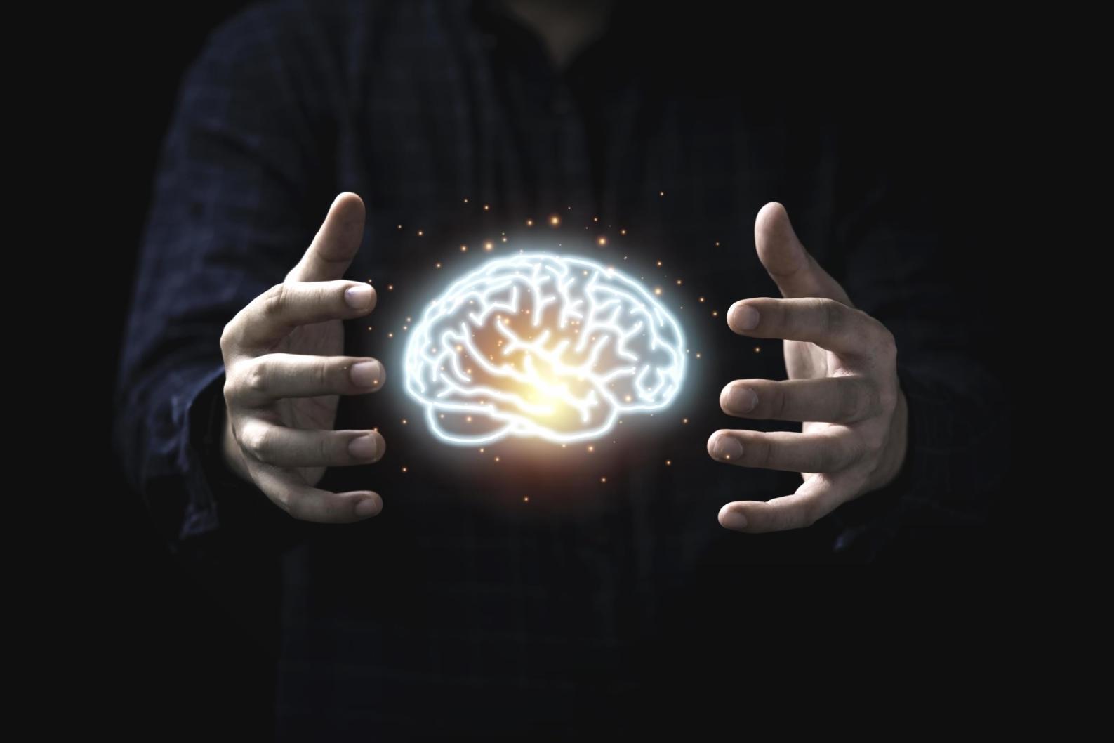 KI-gestützte Versicherungsanalyse auf modernen Geräten